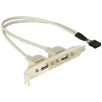 Delock Slotblech 2x USB2.0 extern