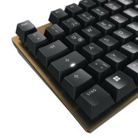 CHERRY Keyboard KC 200 MX MX2A BROWN [DE] black/bronze MX2A BROWN Switch