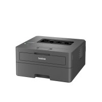 Brother HL-L2447DW SW-Laser HLL2447DWRE1