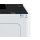 Epson WorkForce AL-M320DN