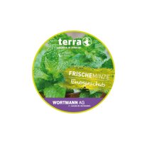 TERRA Bonbon Dose "FRISCHE"