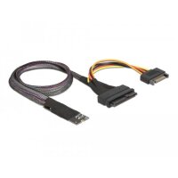 Delock M.2 Key M zu U.2 SFF-8639 NVMe Adapter Retail Box