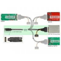 Delock M.2 Key M zu U.2 SFF-8639 NVMe Adapter Retail Box